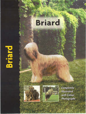 Briard - Desiree Scott