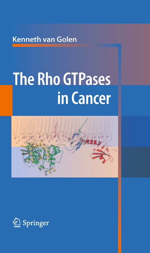 The Rho GTPases in Cancer - 