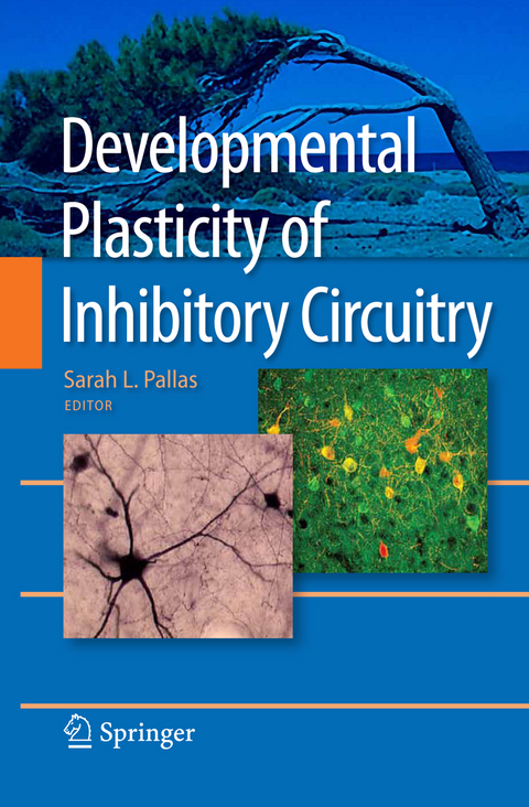 Developmental Plasticity of Inhibitory Circuitry - 