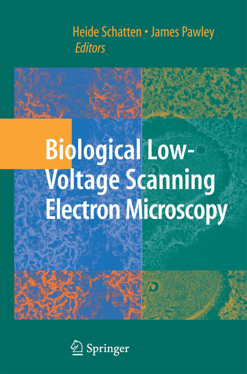 Biological Low-Voltage Scanning Electron Microscopy - 