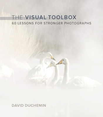 Visual Toolbox, The - David DuChemin