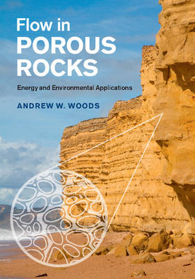 Flow in Porous Rocks - Andrew W. Woods