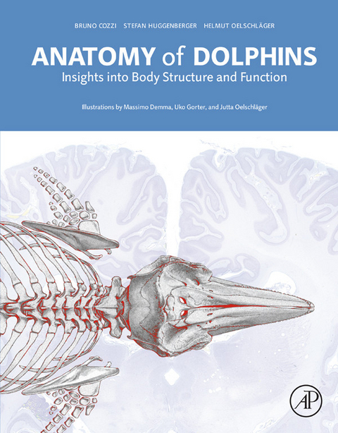 Anatomy of Dolphins -  Bruno Cozzi,  Stefan Huggenberger,  Helmut A Oelschlager