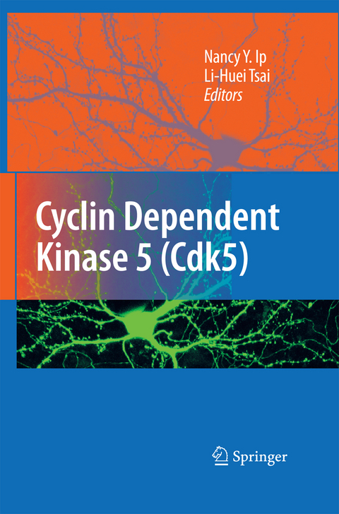 Cyclin Dependent Kinase 5 (Cdk5) - 