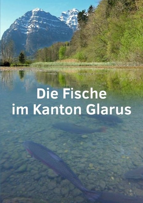 Die Fische im Kanton Glarus - Andreas Zbinden