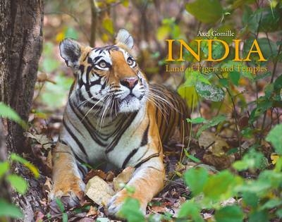 India: Land of Tigers and Temples -  Alex Gomille