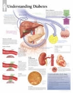 Understanding Diabetes Paper Poster -  Scientific Publishing