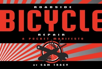 Roadside Bicycle Repair - Sam Tracy