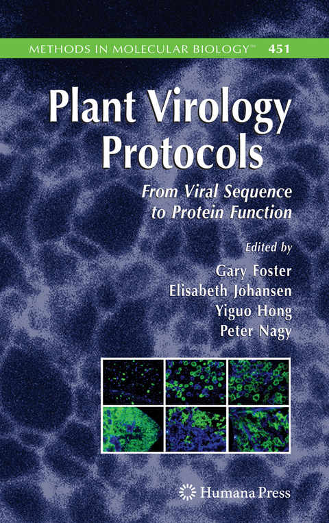 Plant Virology Protocols - 