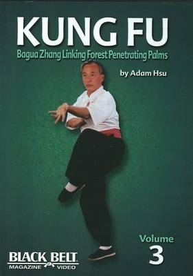 Bagua Zhang - Adam Hsu