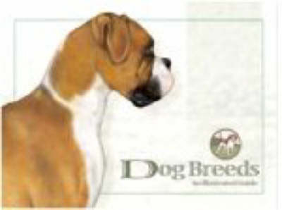 Dog Breeds -  Anatomical Chart Company