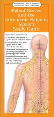 Spinal Nerves and the Autonomic Nervous System - 