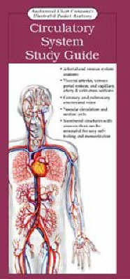 Circulatory System - 