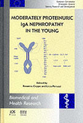 Moderately Proteinuric Iga Nephropathy in the Young - 