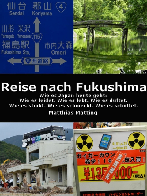 Reise nach Fukushima - Matthias Matting