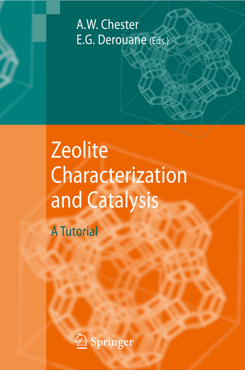 Zeolite Characterization and Catalysis - 