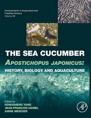 The Sea Cucumber Apostichopus japonicus - 