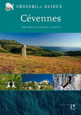 Cevennes - Dirk Hilbers