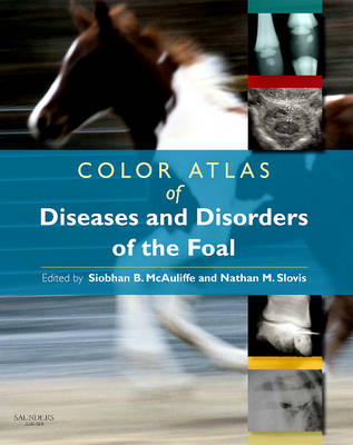 Color Atlas of Diseases and Disorders of the Foal E-Book - 