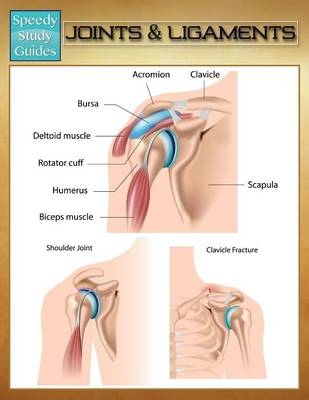 Joints & Ligaments (Speedy Study Guides) -  Speedy Publishing LLC