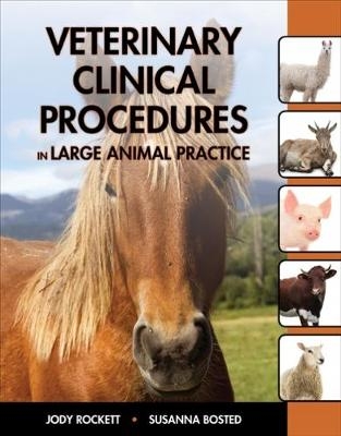 Veterinary Clinical Procedures in Large Animal Practices - Jody Rockett, Susanna Bosted