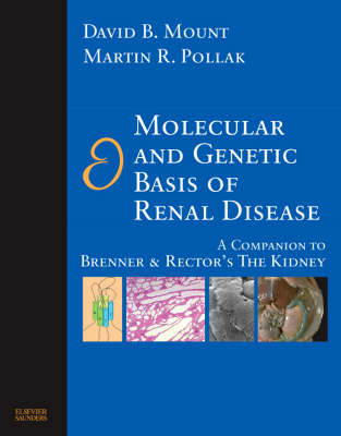 Molecular and Genetic Basis of Renal Disease - David B. Mount, Martin R. Pollak