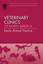 Practice Management, an Issue of Veterinary Clinics - Angela M. Lennox