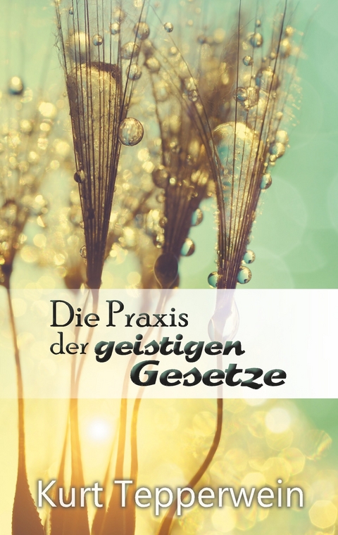 Die Praxis der geistigen Gesetze -  Kurt Tepperwein