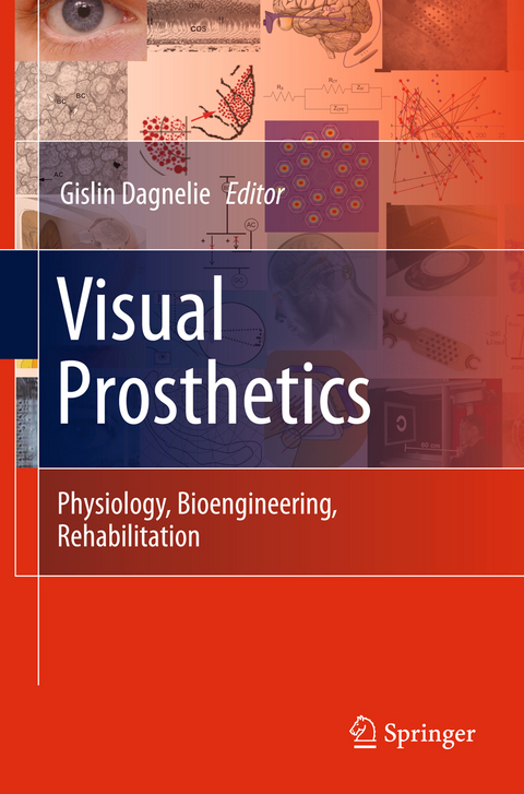 Visual Prosthetics - 