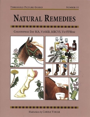 Natural Remedies for Common Ailments - Christopher Day