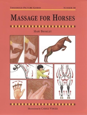 Massage for Horses - Mary W. Bromiley