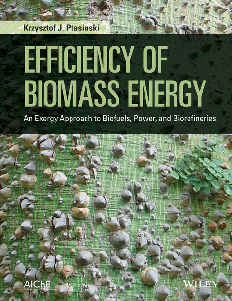 Efficiency of Biomass Energy - Krzysztof J. Ptasinski