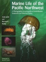 Marine Life of the Pacific Northwest - Andy Lamb, Bernard Hanby