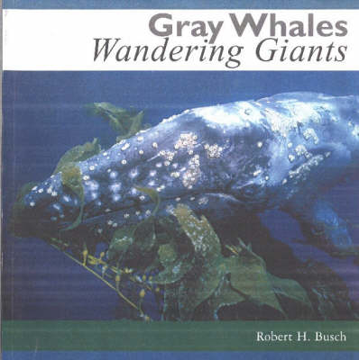 Gray Whales - Robert H Busch