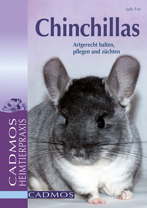 Chinchillas - Judy Fox