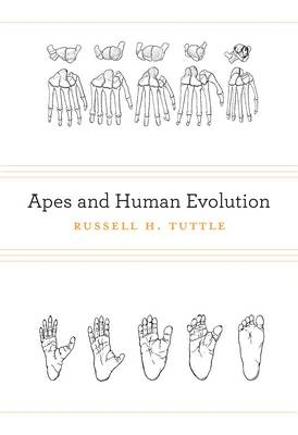 Apes and Human Evolution -  Tuttle Russell H. Tuttle