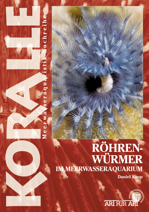 Röhrenwürmer im Meerwasseraquarium - Daniel Knop