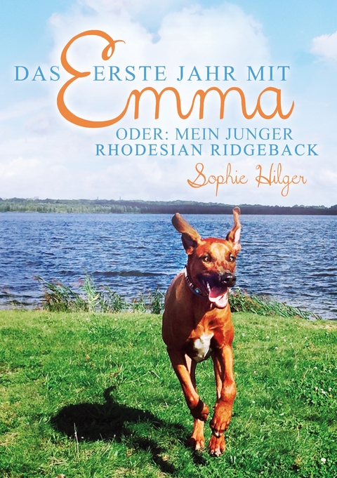 Das erste Jahr mit Emma - Sophie Hilger