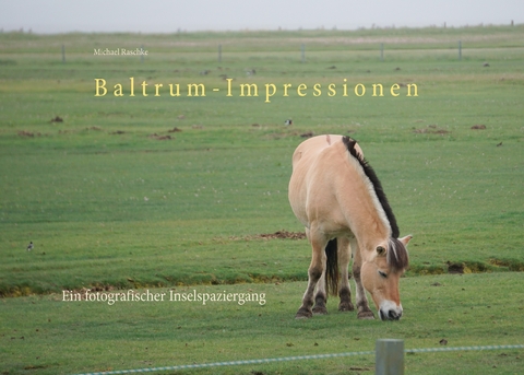 Baltrum-Impressionen -  Michael Raschke