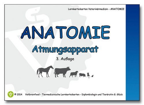 Anatomie: Atmungsapparat - Gabriele Glück