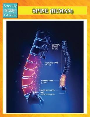 Spine (Human) (Speedy Study Guides) -  Speedy Publishing LLC