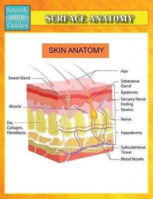 Surface Anatomy (Speedy Study Guides) -  Speedy Publishing LLC