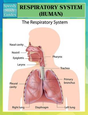 Respiratory System (Human) (Speedy Study Guides) -  Speedy Publishing LLC