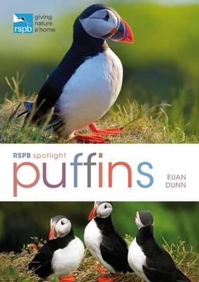 RSPB Spotlight: Puffins -  Euan Dunn