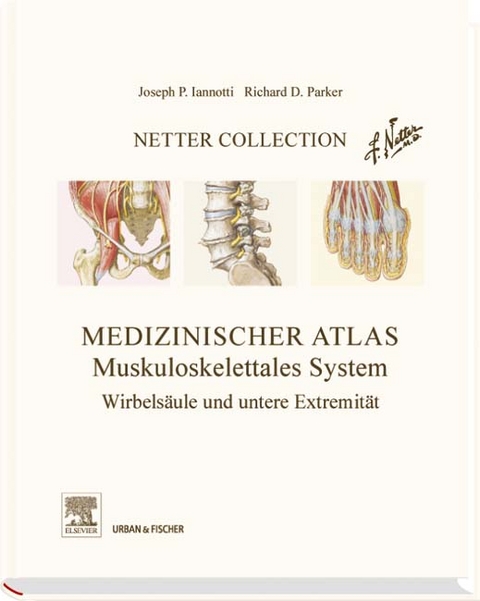 Netter Collection  Muskuloskelettales System Band 2 -  Iannotti