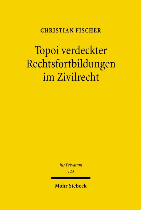 Topoi verdeckter Rechtsfortbildungen im Zivilrecht -  Christian Fischer