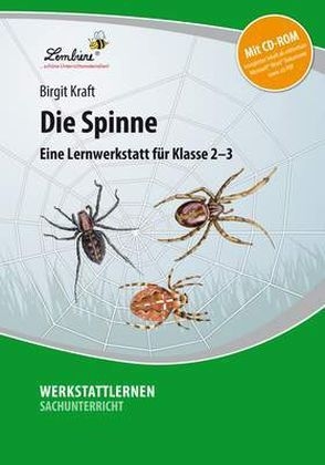 Die Spinne - alt, m. 1 CD-ROM - Birgit Kraft