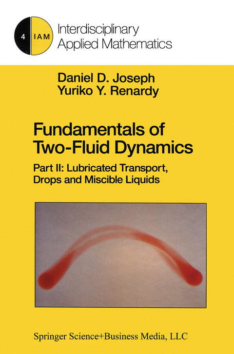 Fundamentals of Two-Fluid Dynamics - Daniel D. Joseph, Yuriko Y. Renardy