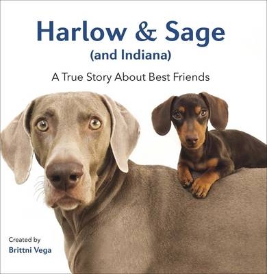 Harlow & Sage (and Indiana): A True Story About Best Friends - Brittni Vega