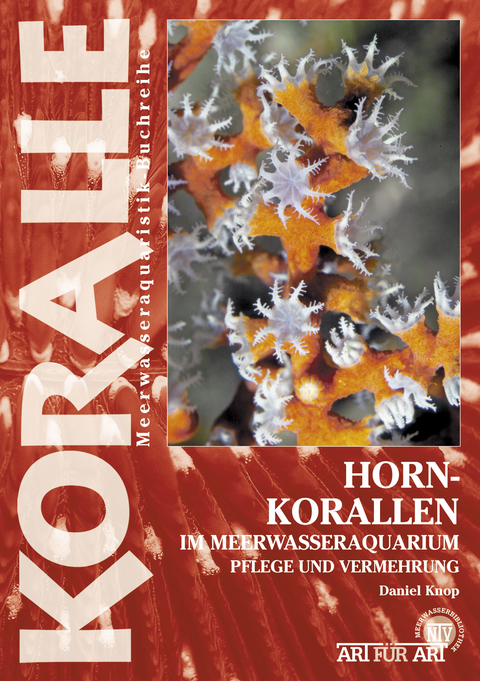 Hornkorallen im Meerwasseraquarium - Daniel Knop